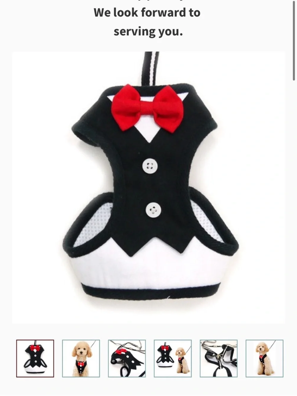 Black Dog Tuxedo Harness with Red Bow Accent - Formal Pet Harness new xs